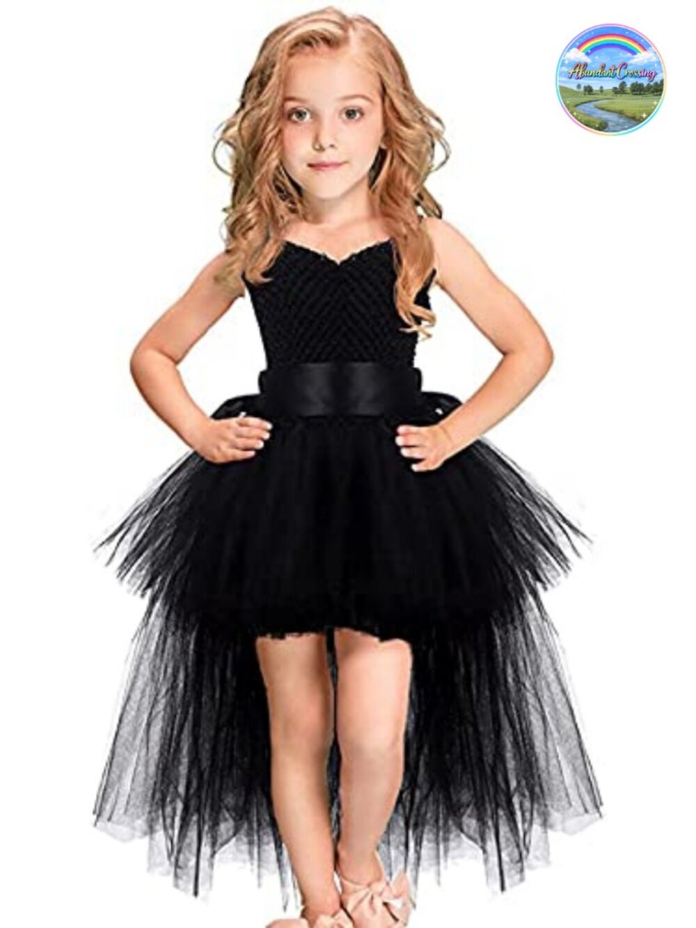 Girls Tulle Tutu Dress Fairy Princess Halloween Party Outfit